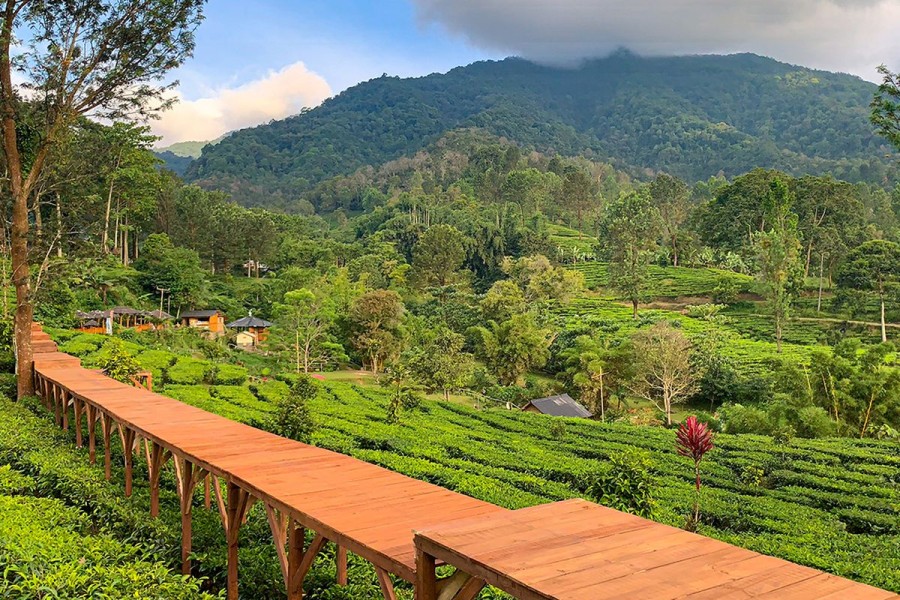 gkbengali, gkbengali kehidupan, gkbengali wisata, gkbengali games, gkbengali teknologi